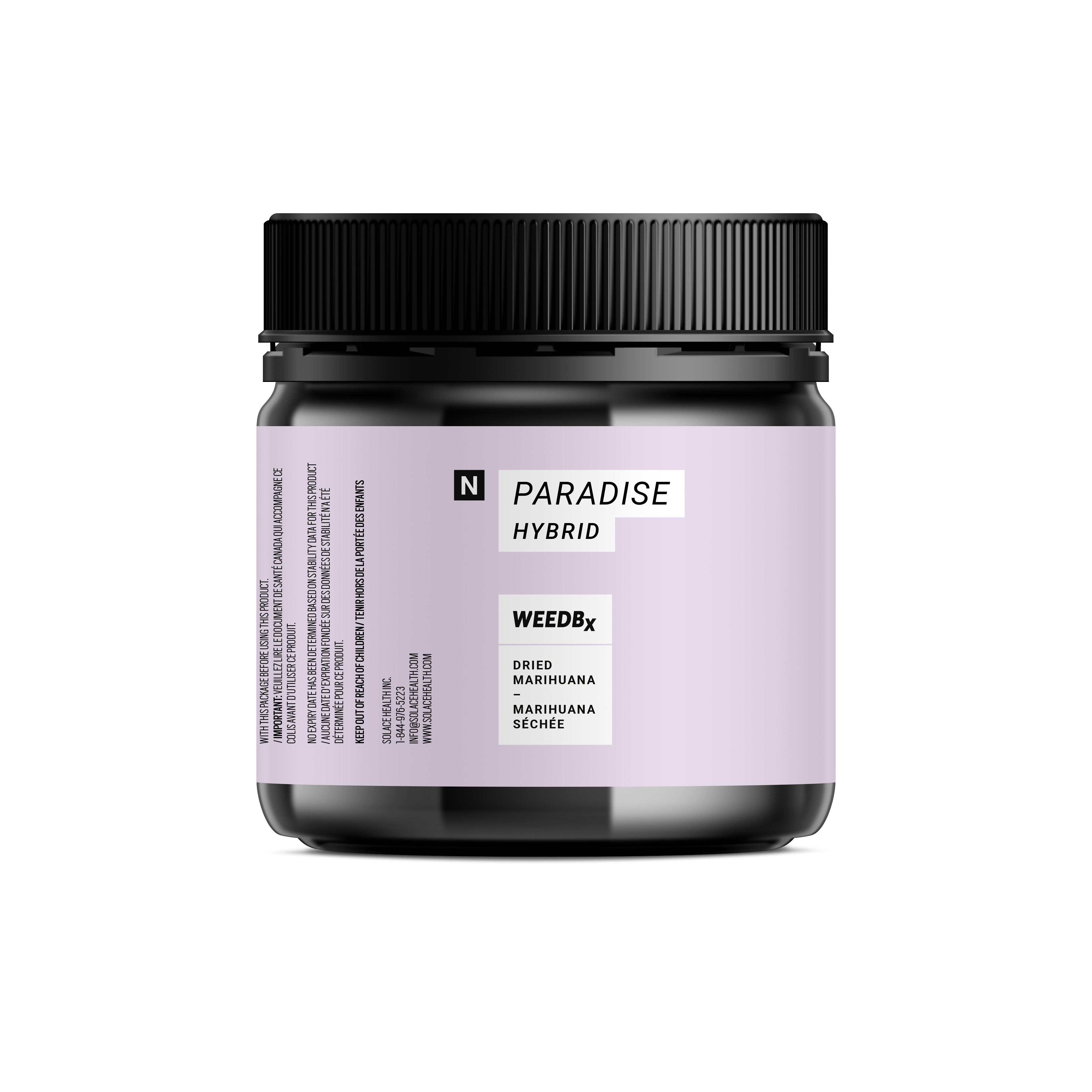 Paradise (Jean Guy)